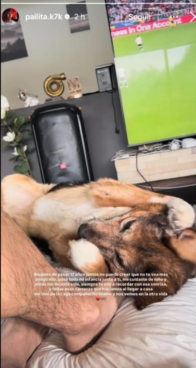 Pailita lamenta la muerte de su perro | Instagram