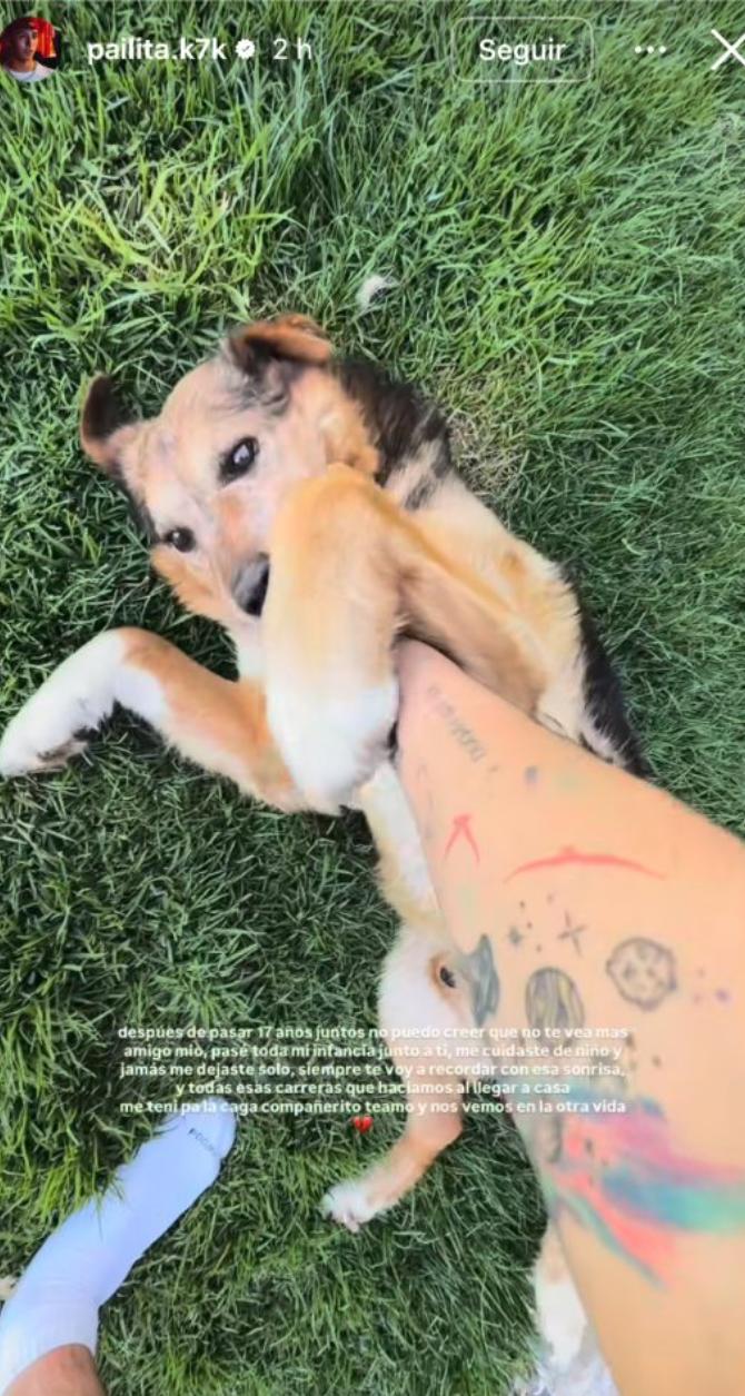 Pailita lamenta la muerte de su perro | Instagram