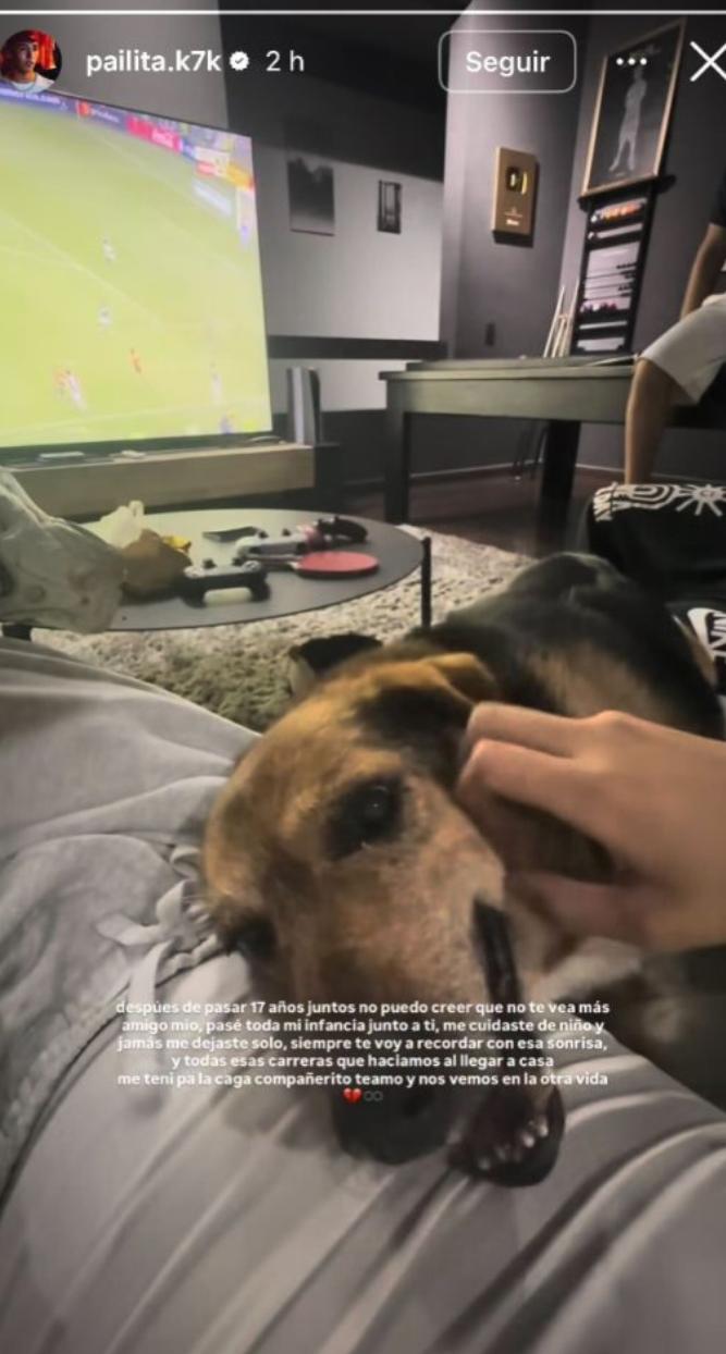 Pailita lamenta la muerte de su perro | Instagram