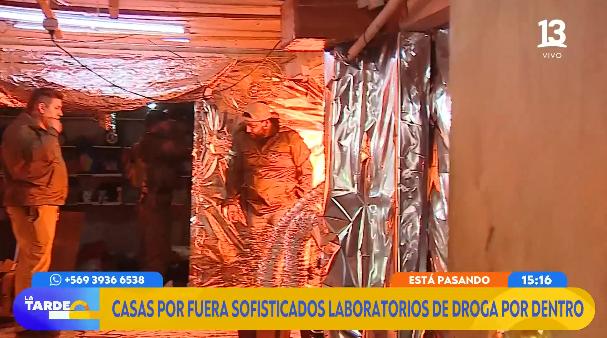 Allanan casas en Pudahuel: hallan más de mil matas de marihuana.