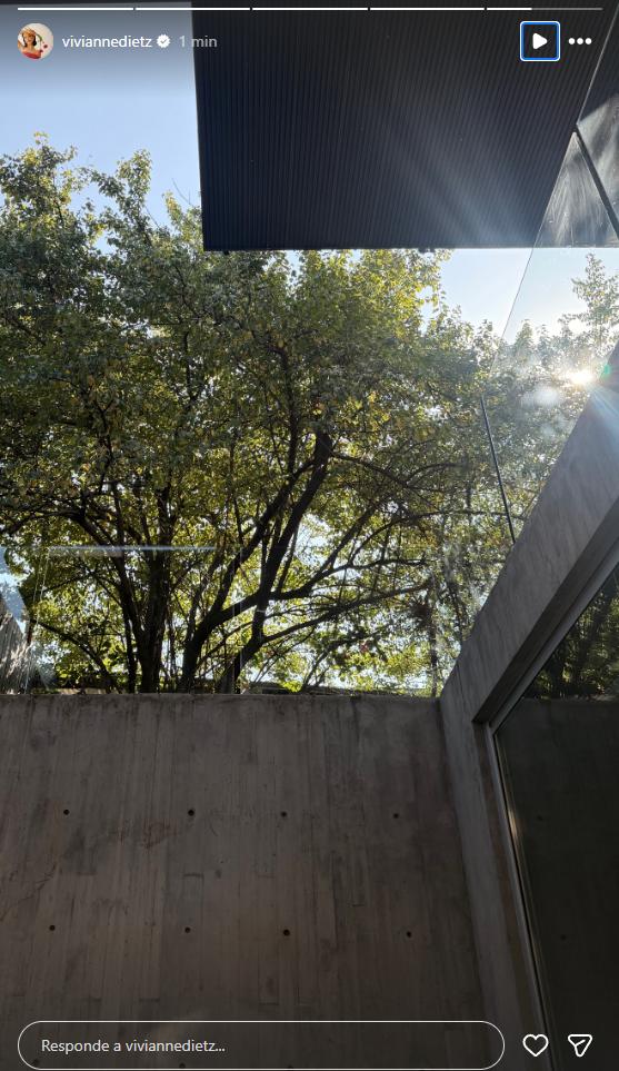 Así es la casa donde vive Simón Pesutic y Vivianne Dietz | Instagram