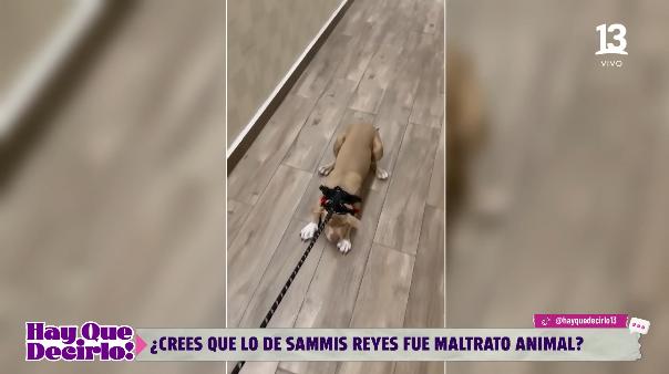 Critican a Sammis Reyes por subir video de su perrito.
