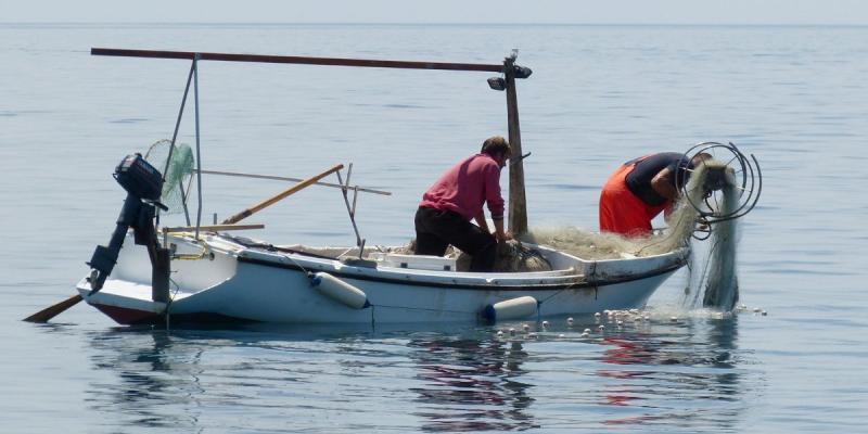 Aporte a la pesca artesanal