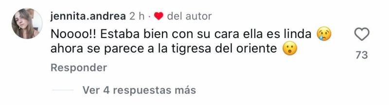 Comentarios en post de Pancha Merino | Instagram