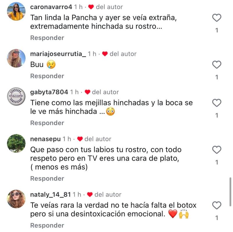 Comentarios en post de Pancha Merino | Instagram