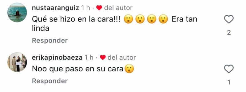 Comentarios en post de Pancha Merino | Instagram