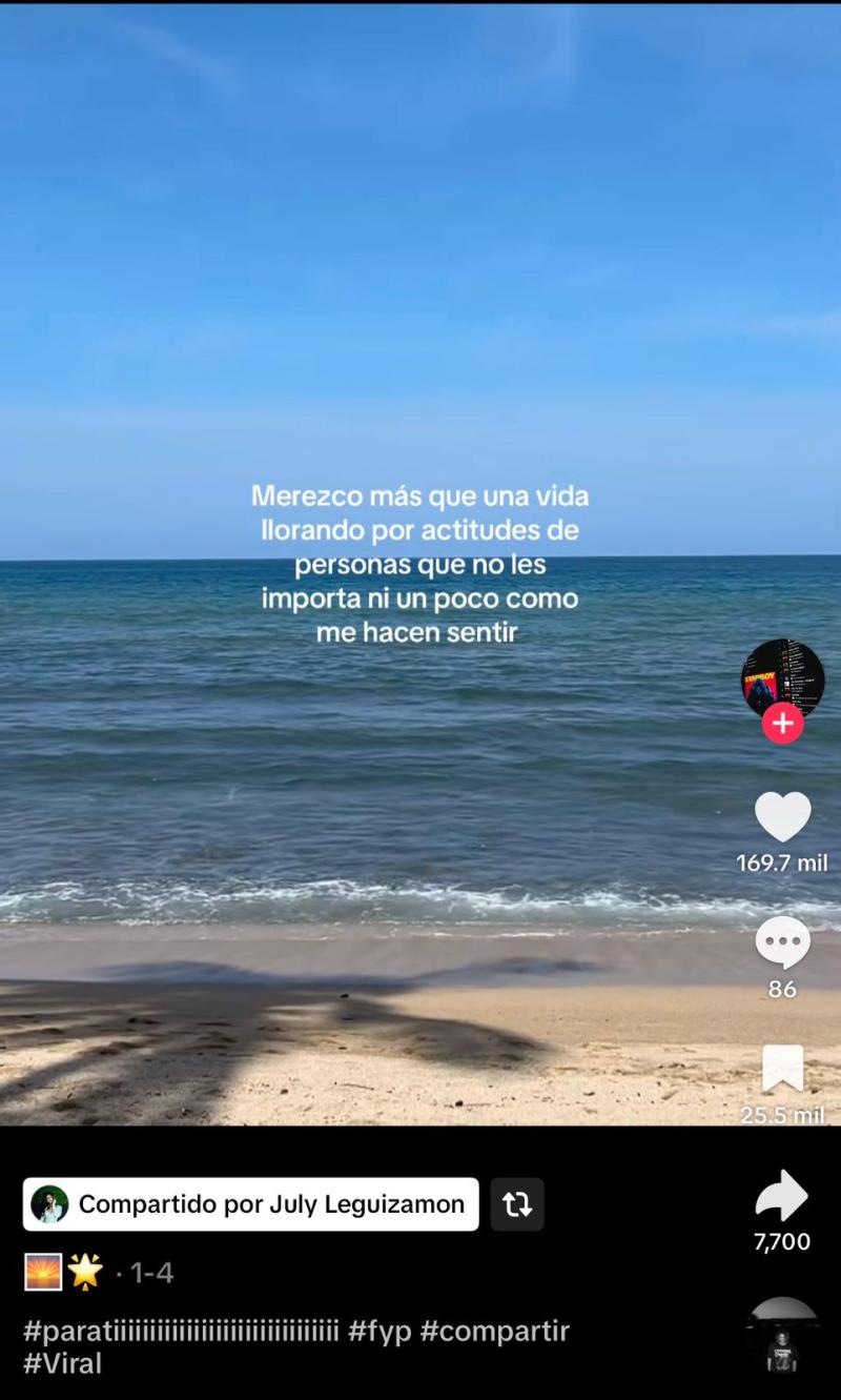 Publicación compartida por July Leguizamón en Tiktok.