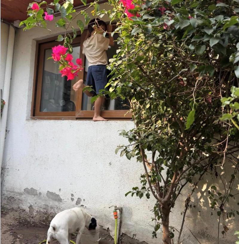 Baltazar Ruminot - Instagram