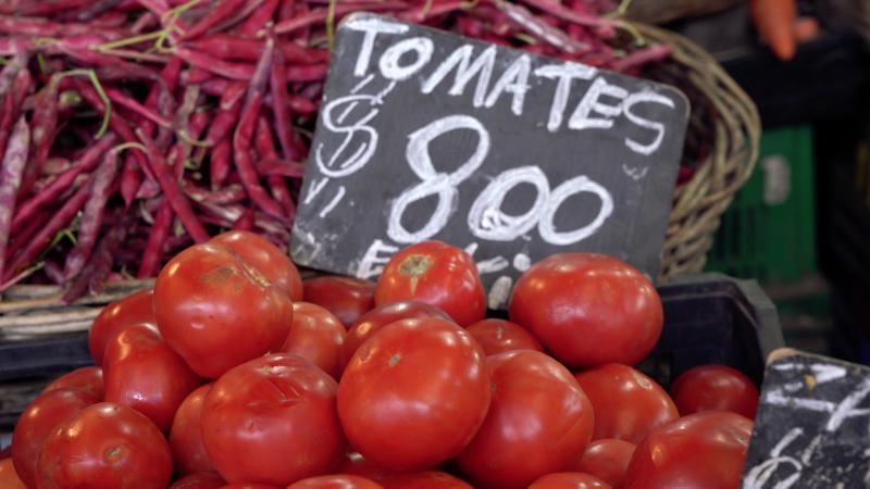 Tomates en la Vega Central. 13C.