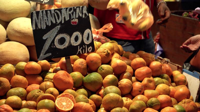 Nutricionistas compran en la Vega Central para cumplir con dieta mediterránea. Créditos: 13C.