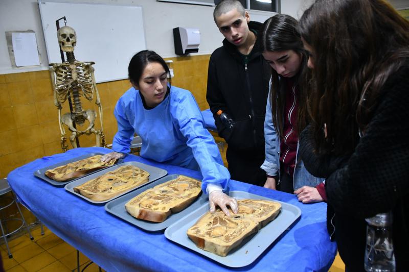 Museo de Anatomía. / Agencia UNO.