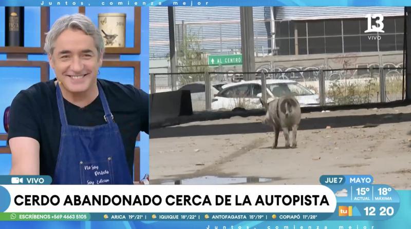 La broma de José Luis Repenning que causó la risa del panel.