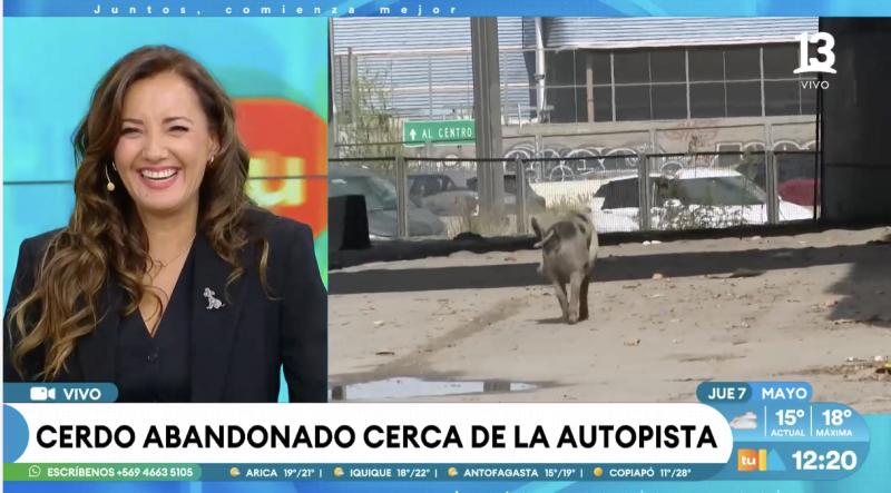 La broma de José Luis Repenning que causó la risa del panel.