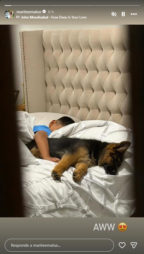 Marité Matus mostró a su hijo Emiliano junto a su mascota | Instagram