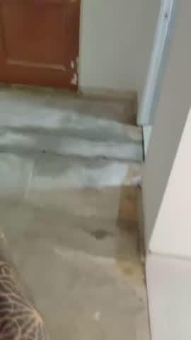Gonzalo Egas muestra filtración de agua en el departamento | Instagram