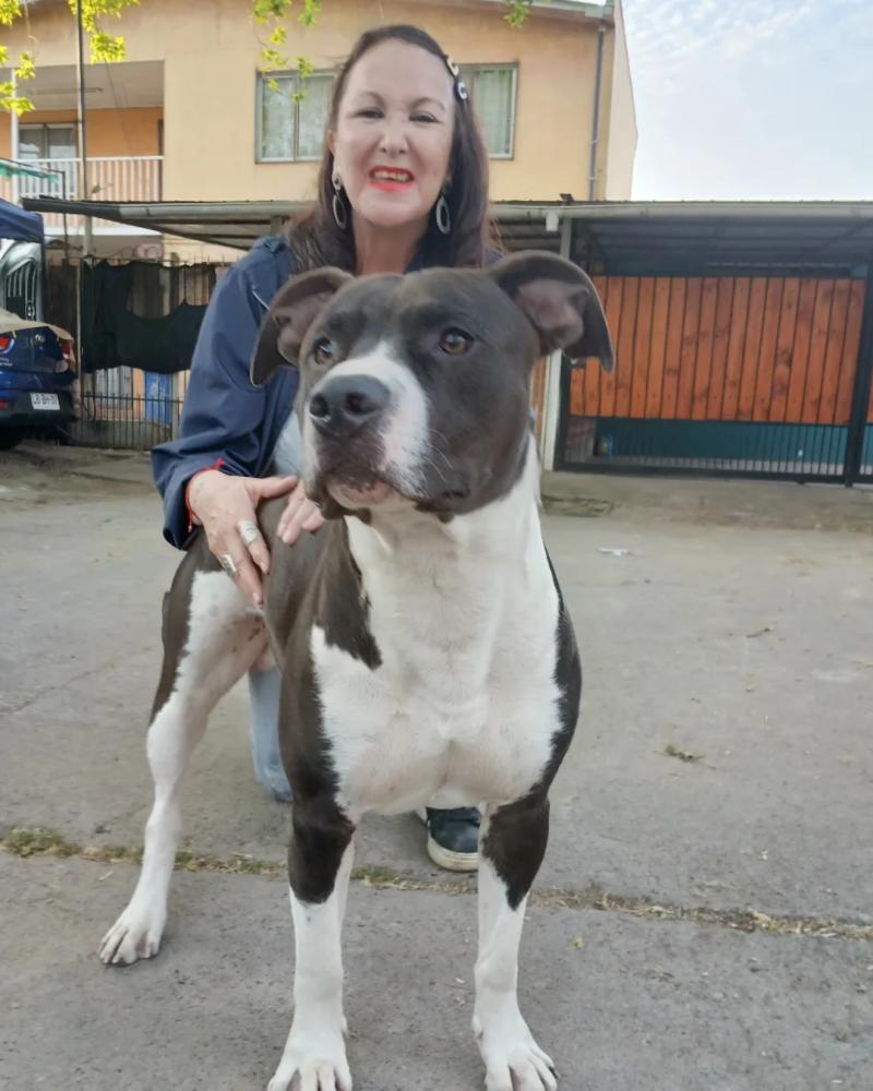 El presente de la actriz Soledad Pérez / Créditos: Instagram @soledad_perez_animalista