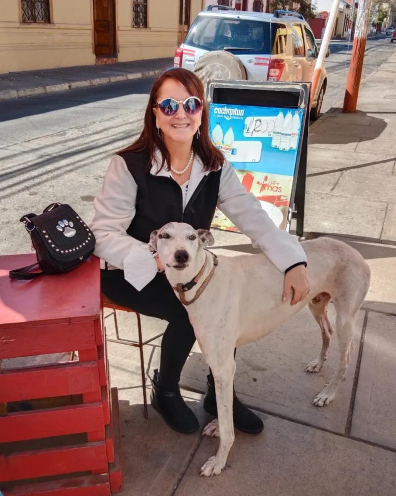 El presente de la actriz Soledad Pérez / Créditos: Instagram @soledad_perez_animalista