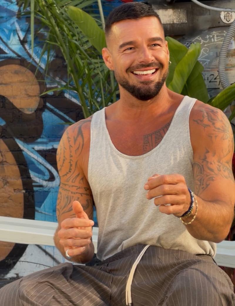 Ricky Martin | Instagram