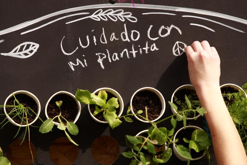 "Green Wall Starbucks". Créditos: Agencia UNO.