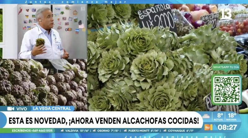 El doctor Ugarte da a conocer los beneficios de comer alcachofa.
