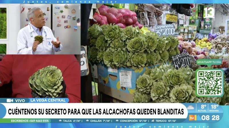 El doctor Ugarte da a conocer los beneficios de comer alcachofa.