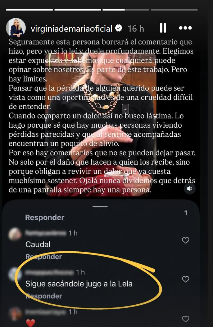Instagram @virginiademariaoficial