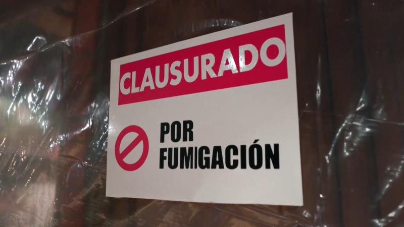 Charly decidió fumigar dos casas