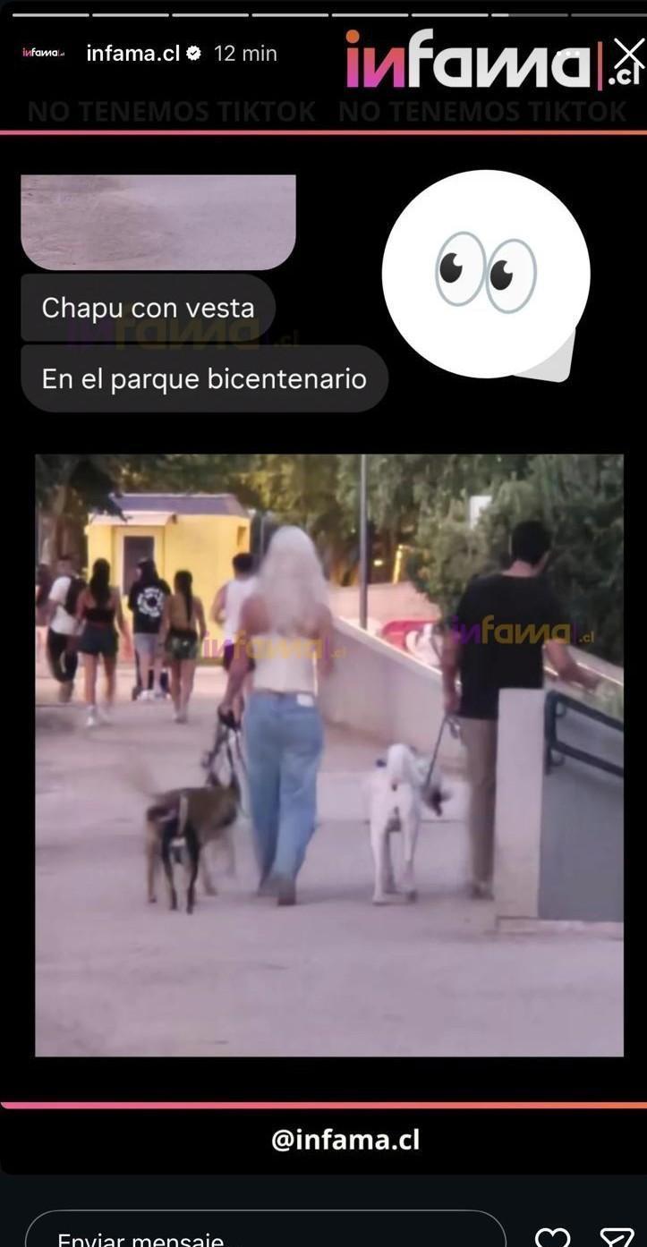 Chapu Puelles y Vesta Lugg paseando juntos en el Parque Bicentenario con los perros de la cantante | Instagram Infama