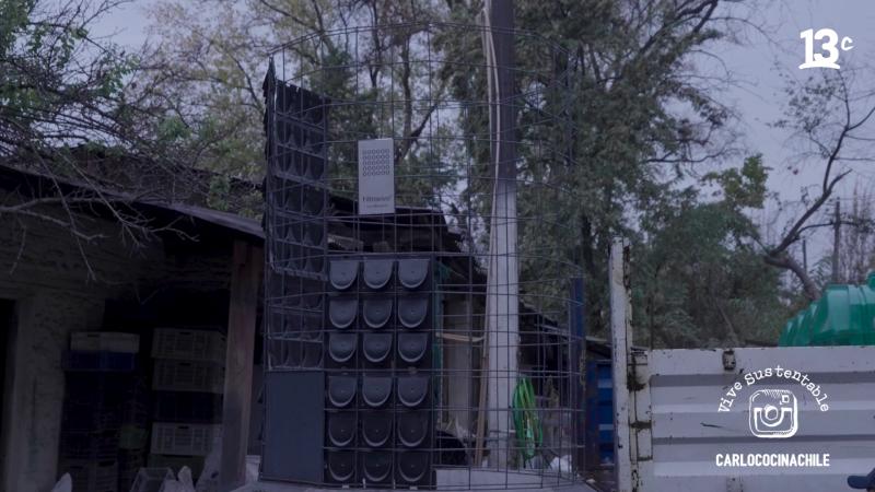 Instalación de Filtro Vivo en casa de Carlo von Mühlenbrock / 13C.