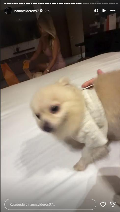 Nano Calderón | Instagram