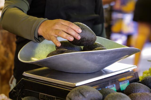 Palta / Agencia Uno