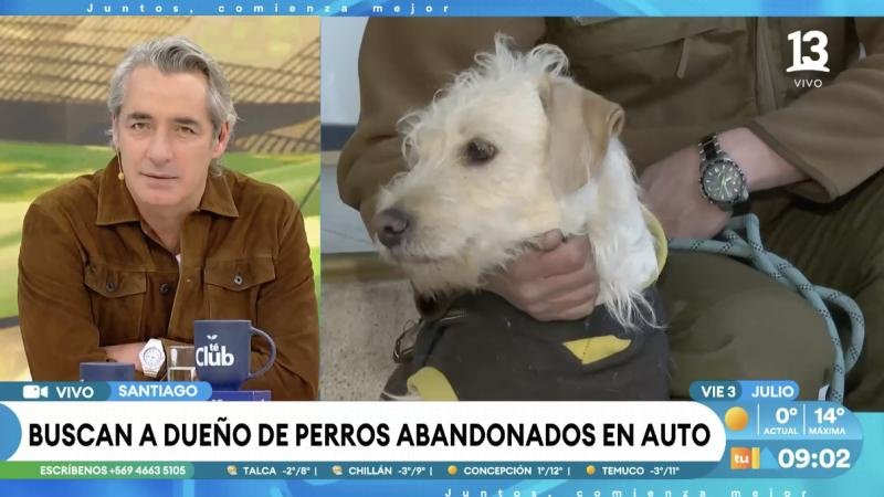 Hallan tres perros en un vehículo abandonado en Santiago.