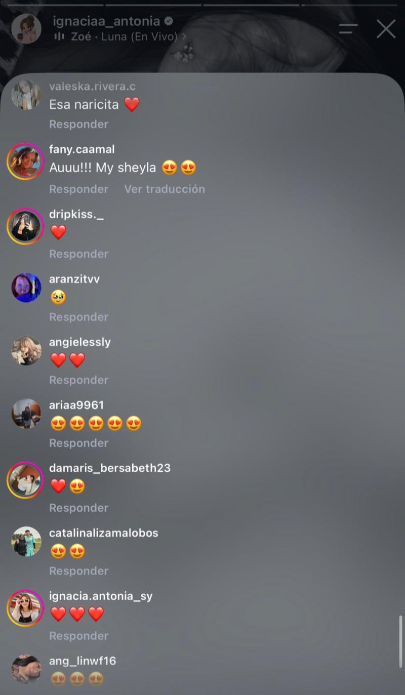REACCIONES A IMAGEN DE IGNACIA ANTONIA CON SU HIJA | Instagram