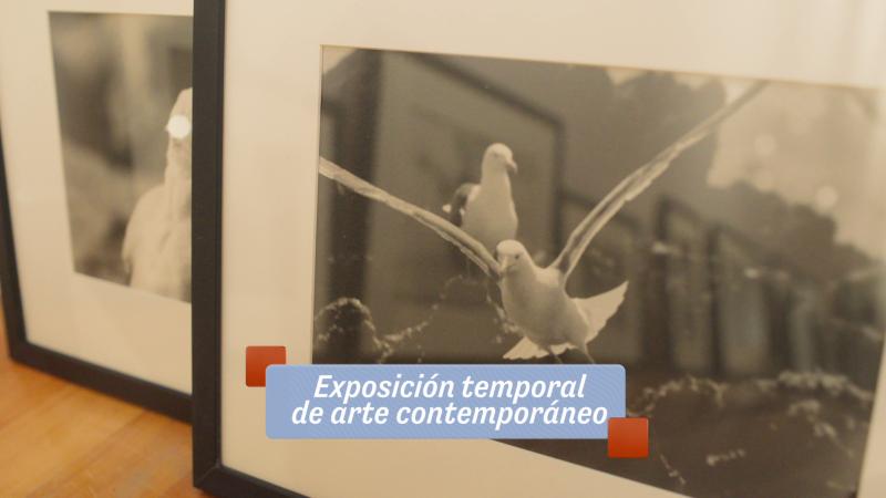 Parte de la exposición Entre Mareas del Museo Palacio Vergara. 13C.