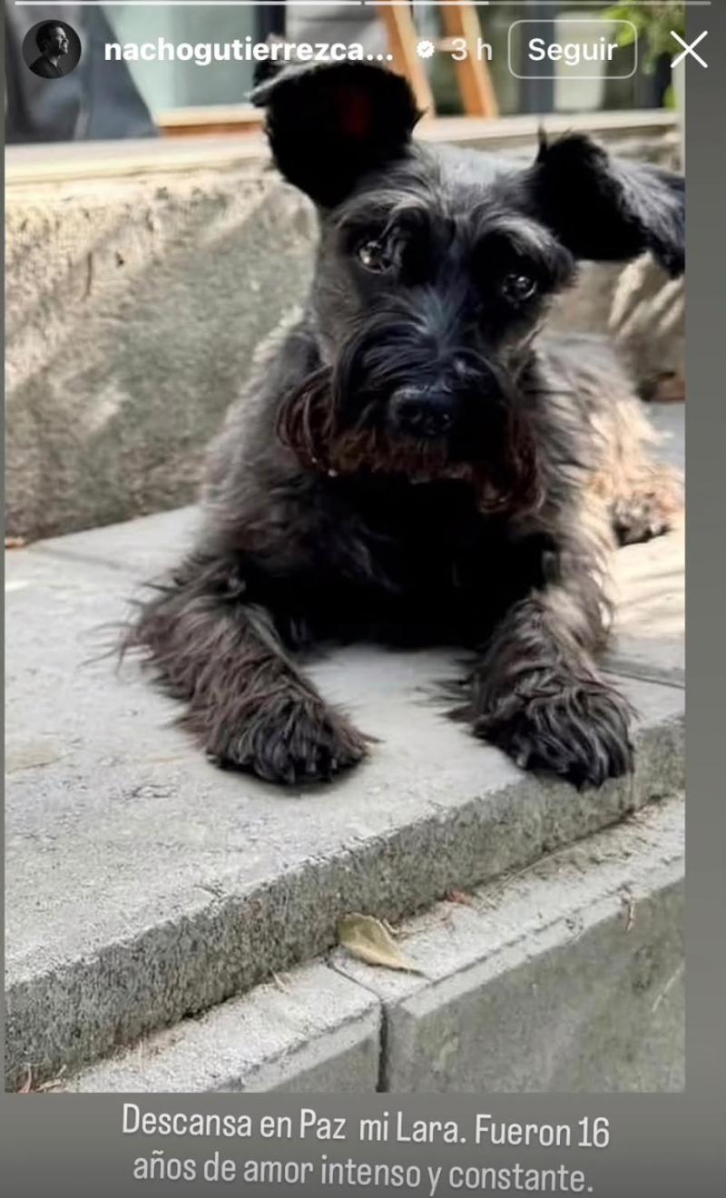 La despedida de Nacho Gutiérrez a su perrita Lara