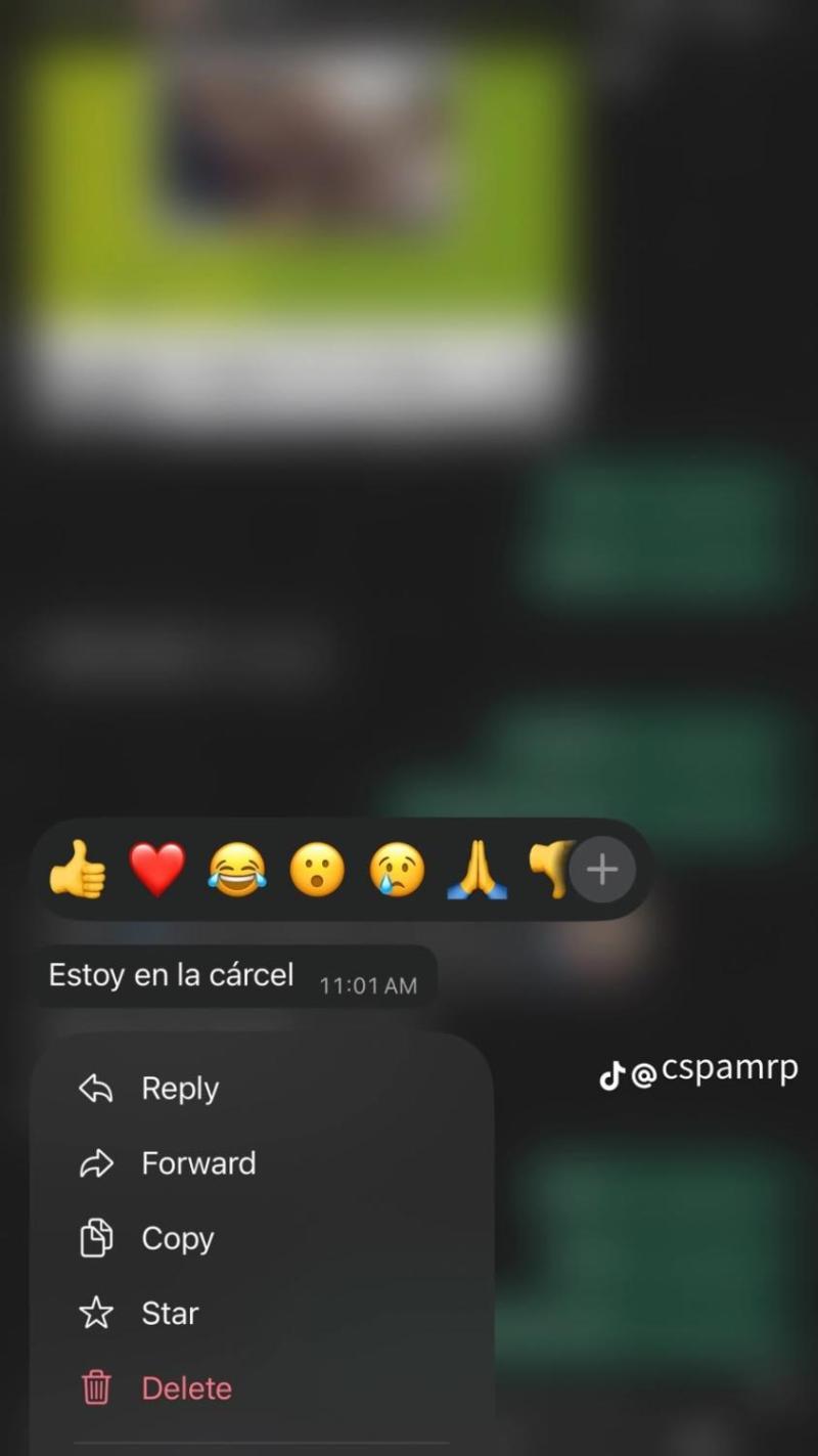 Hija de Chino Ríos | Tiktok