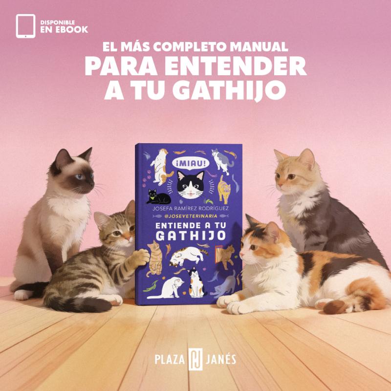 Libro "Entiende a tu gathijo"
