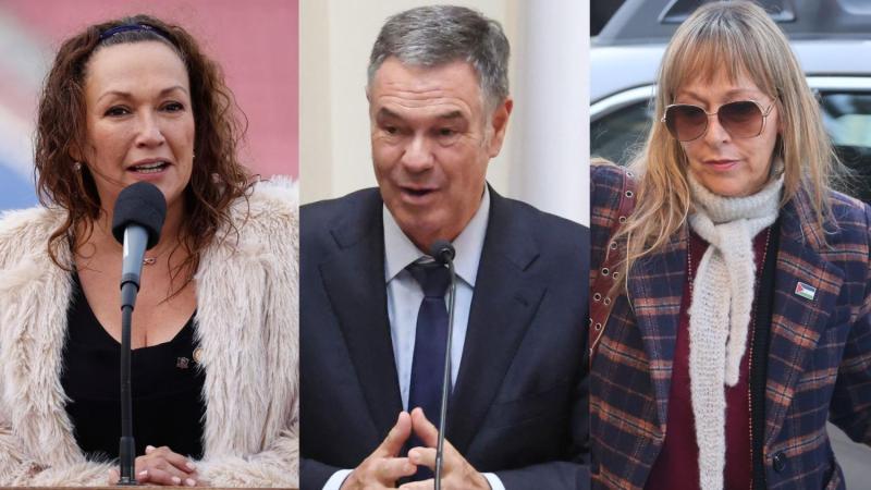 Diputadas Ana María Gazmuri y Marisela Santibáñez y el senador Manuel José Ossandón mencionados en caso que vincula a Camilo Huerta