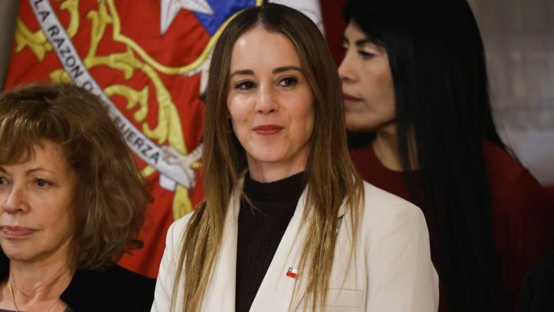 Además de Camilo Huerta: el rol de Martín Krauss Valdés, la pareja de la exministra de Mara Sedini - Créditos: ATON