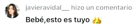 Comentario de Javiera Vidal.