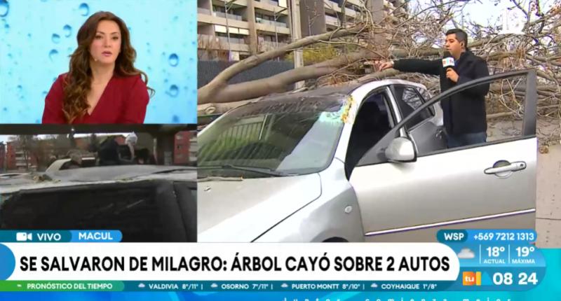 Macul: árbol cae sobre dos autos debido a ráfagas de vientos.