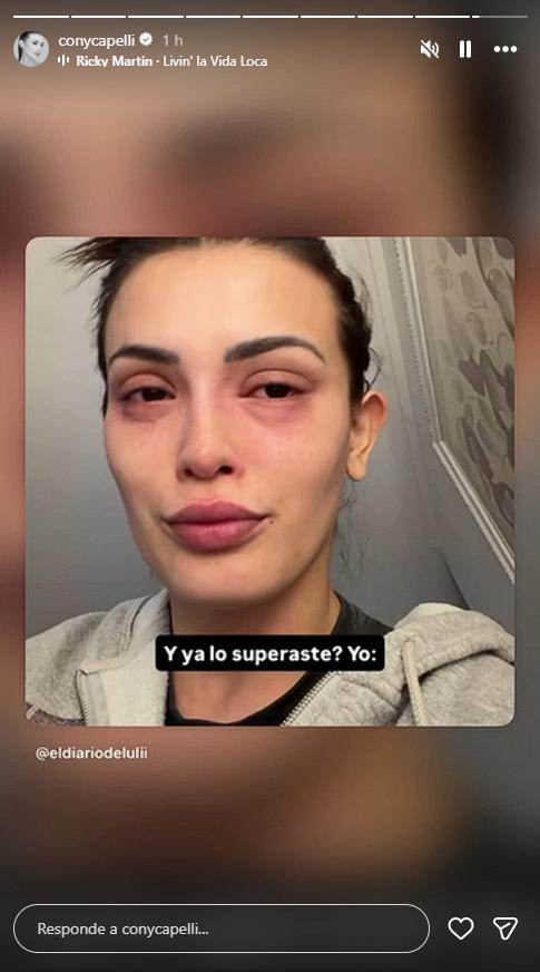 Cony Capelli tomo con humor la situación y subió un meme sobre ello | Crédito: Instagram Cony Capelli