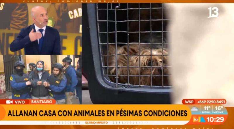 Allanan casa en Barrio Yungay con mascotas en pésimas condiciones