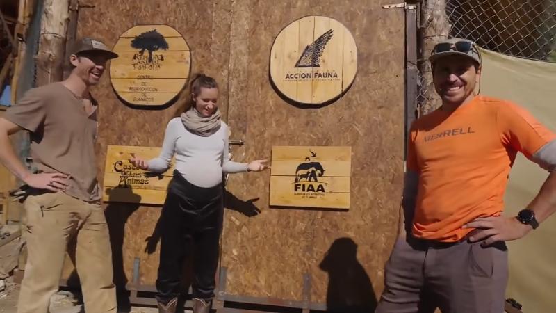 El primer refugio para un puma en Chile: La historia detrás de la minga familiar que salvó a la felina de Paine