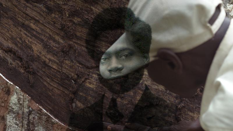 «L'Arbre de l'Authenticité» (El árbol de la autenticidad) de Sammy Baloji
