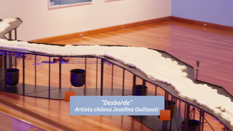 Obra de artista chilena Josefina Guilisasti / 13C