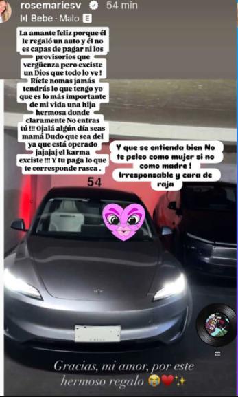 Las publicaciones de Rosemarie Dietz contra el padre de su hija | Crédito: Instagram @rosemariesv