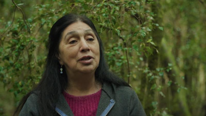 Elvia Ule Reymilla, cultora huilliche / 13C