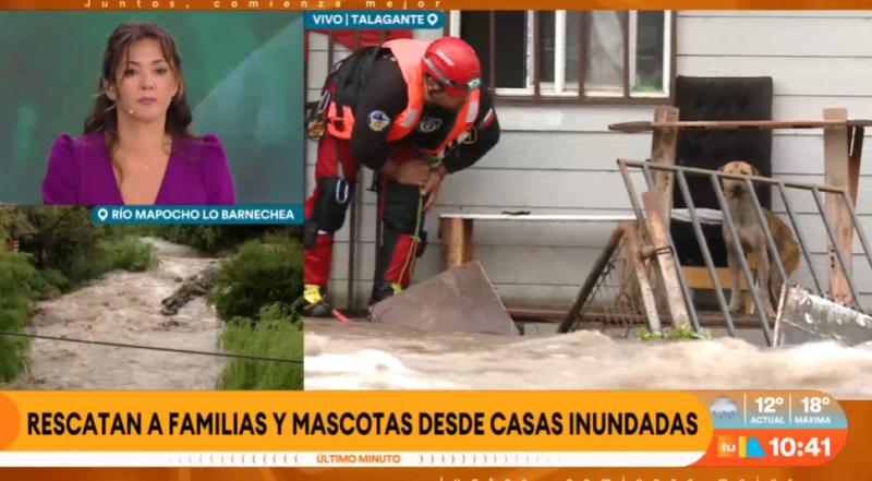 Bomberos rescata mascota desde casa inundada en Talagante.