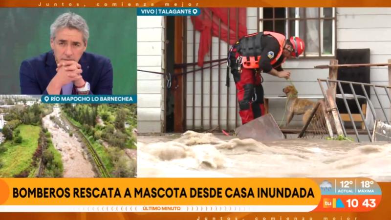 Bomberos rescata mascota desde casa inundada en Talagante.
